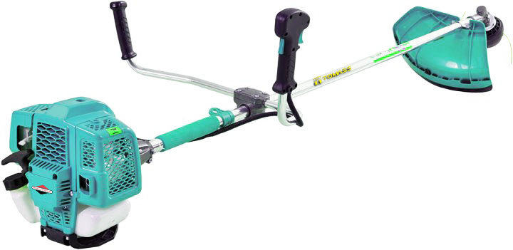 motokosa-tomass-cr-v-10-keys-briggs-stratton-shvetsiya-garantiya-60-misyatsiv-93790099047838_48ad199f56.jpg